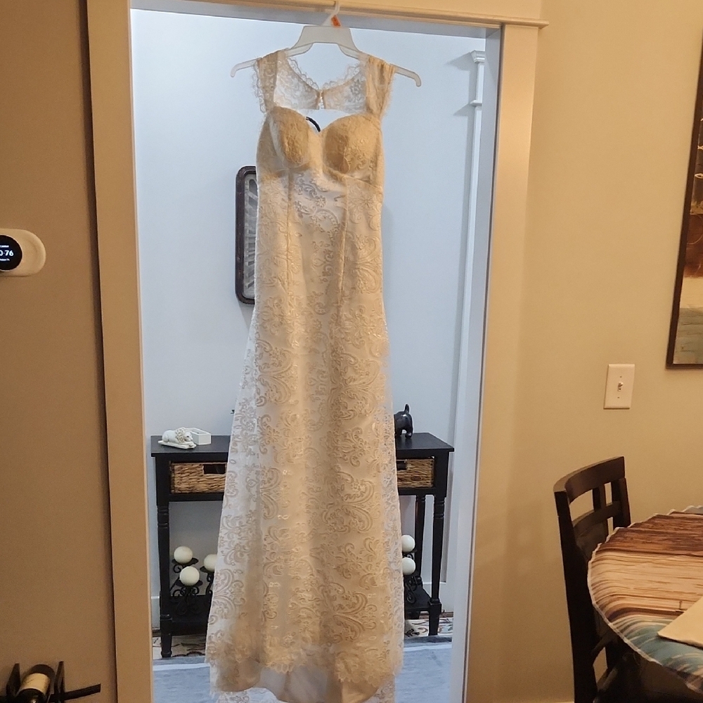 Elegant White Lace Gown